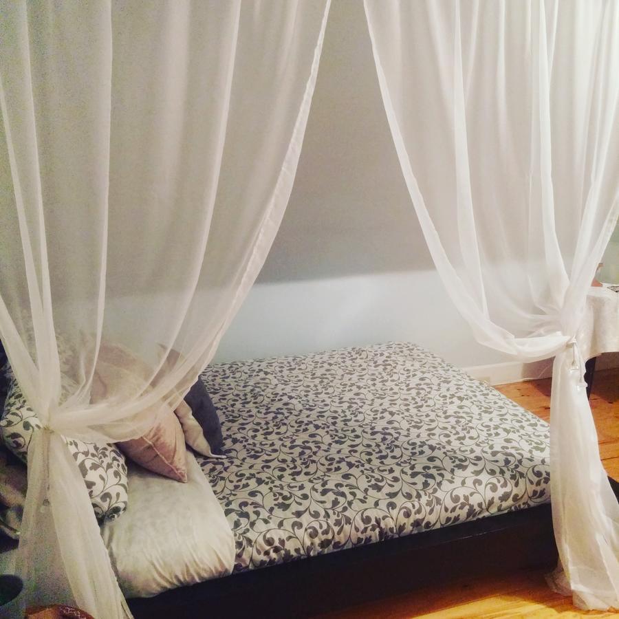 The Cosy Cottage Inn Saint John Εξωτερικό φωτογραφία